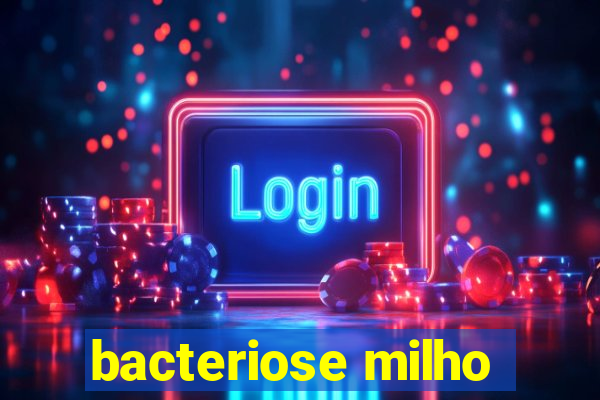 bacteriose milho