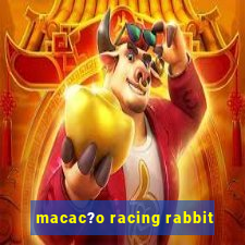 macac?o racing rabbit