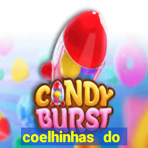 coelhinhas do brasil site