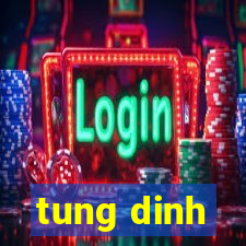 tung dinh