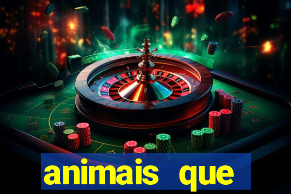 animais que produzem l茫