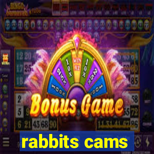 rabbits cams