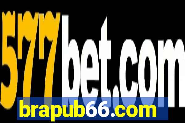 brapub66.com