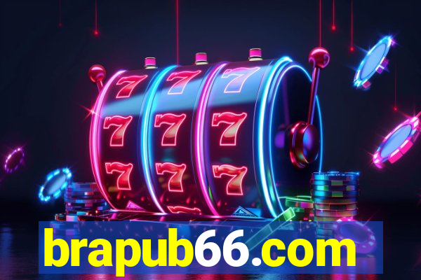 brapub66.com