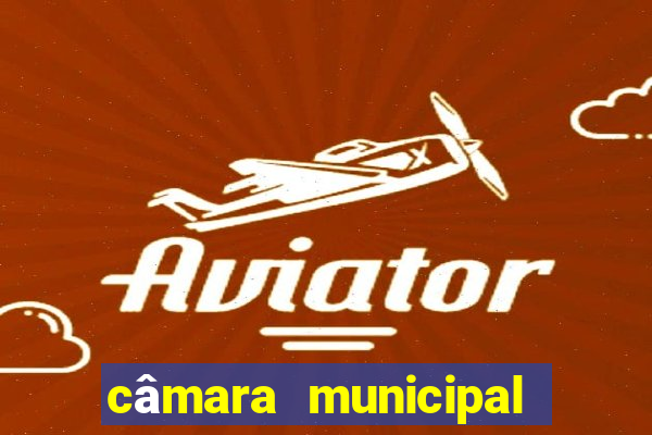 câmara municipal de juazeiro