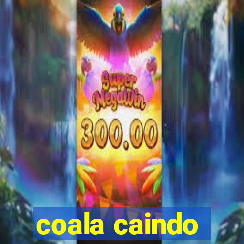 coala caindo