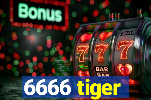 6666 tiger