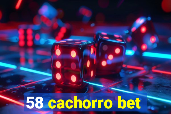 58 cachorro bet