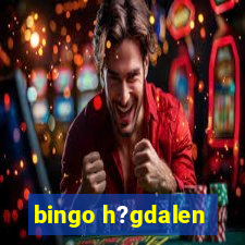 bingo h?gdalen