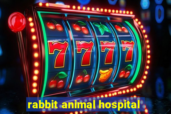 rabbit animal hospital