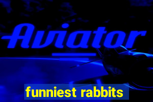 funniest rabbits