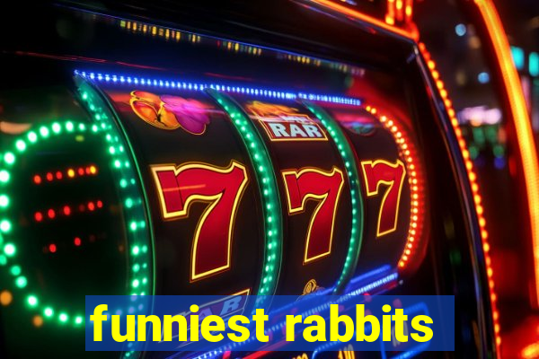 funniest rabbits