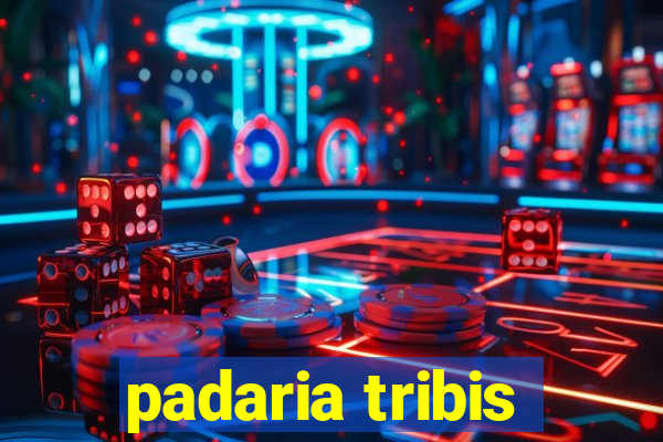 padaria tribis