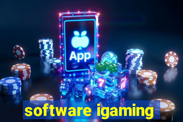 software igaming