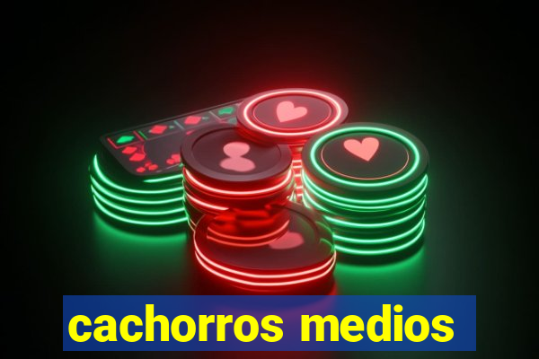 cachorros medios