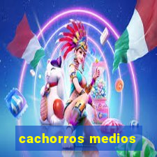 cachorros medios