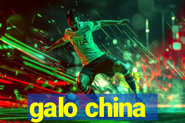 galo china