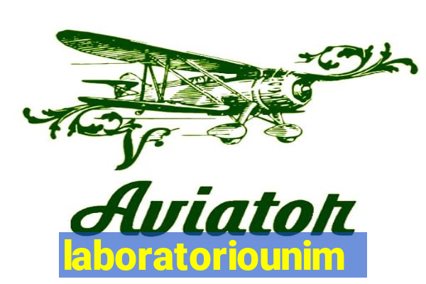 laboratoriounimedblumenau.com.br