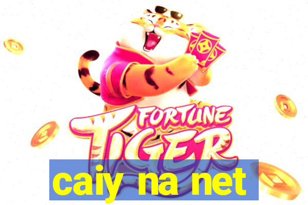 caiy na net