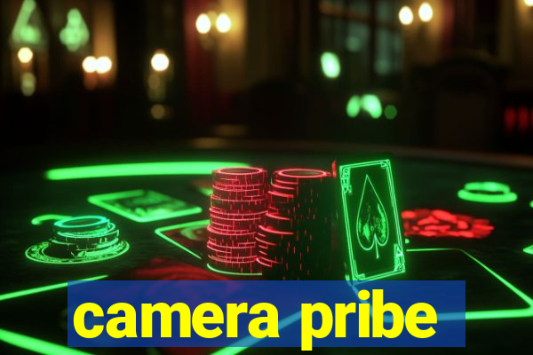 camera pribe