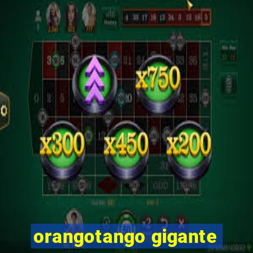 orangotango gigante