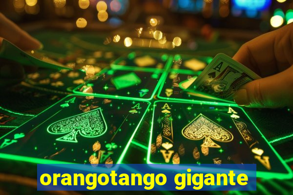 orangotango gigante