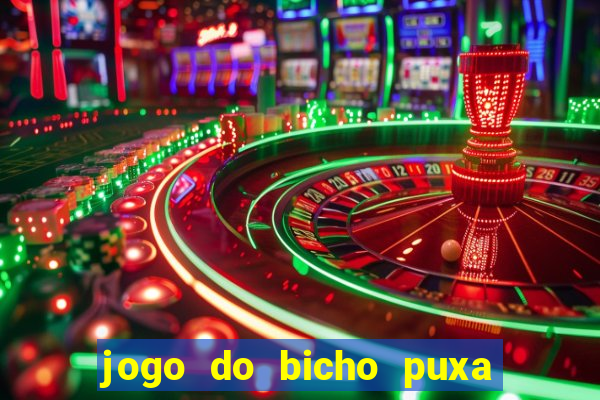 jogo do bicho puxa de dona maria