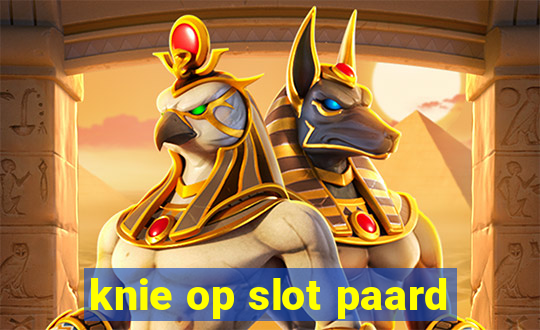 knie op slot paard