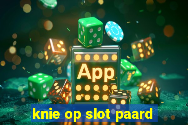 knie op slot paard