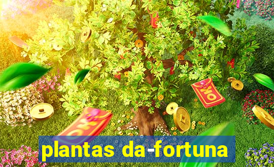 plantas da-fortuna