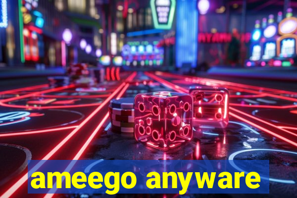 ameego anyware