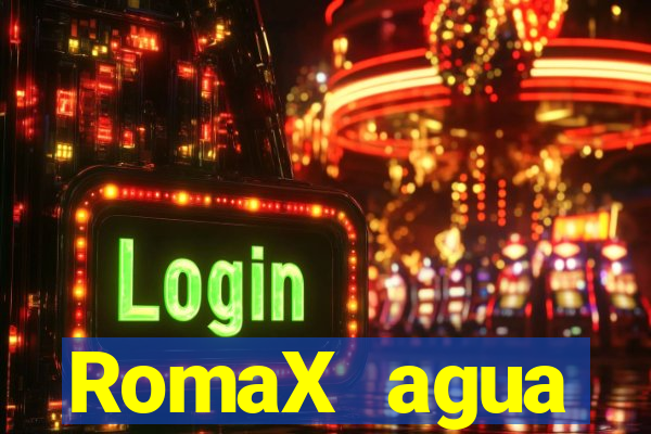 RomaX agua sanitaria fispq agua sanitaria romax