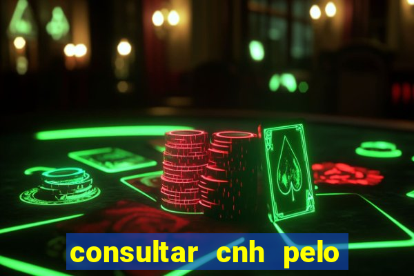 consultar cnh pelo cpf sp