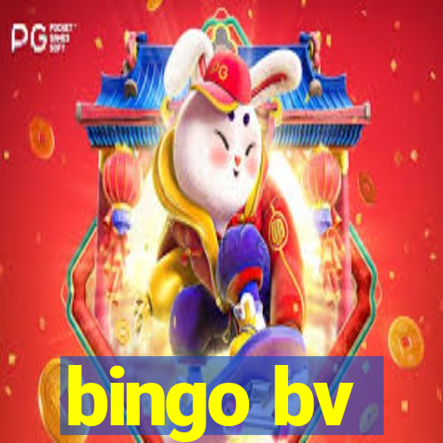 bingo bv