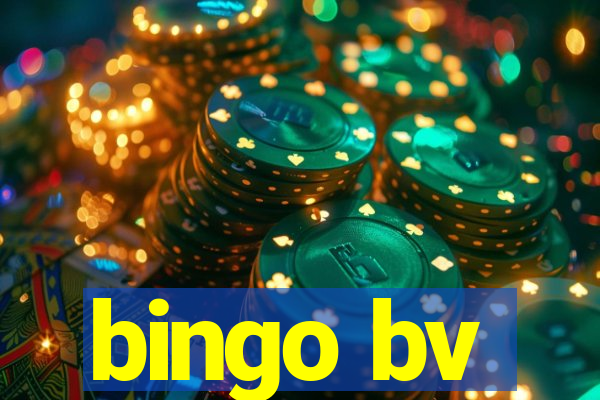 bingo bv