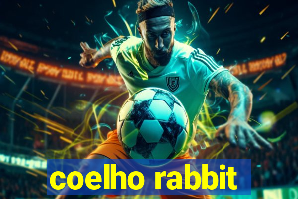 coelho rabbit