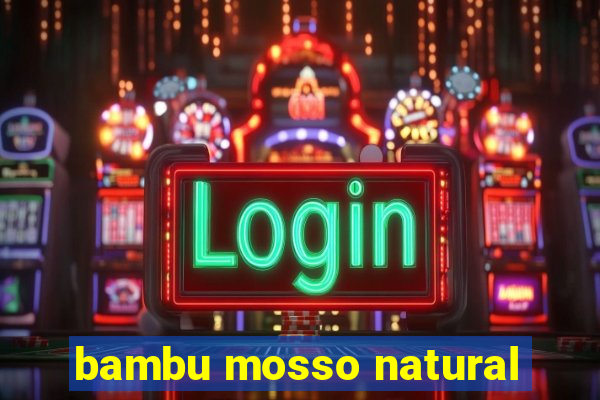 bambu mosso natural