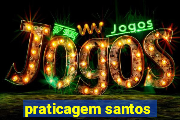 praticagem santos