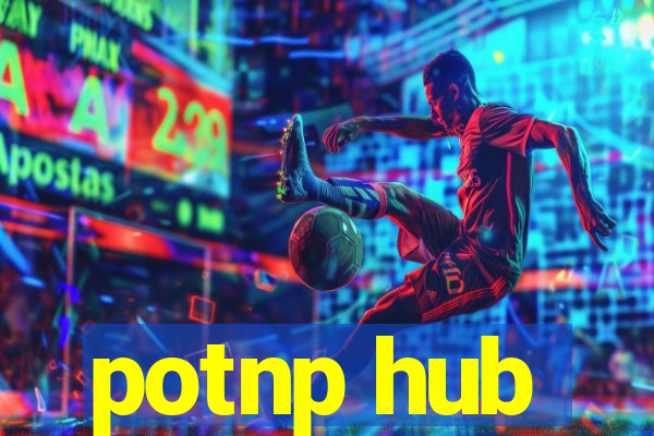 potnp hub