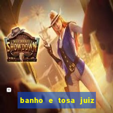 banho e tosa juiz de fora