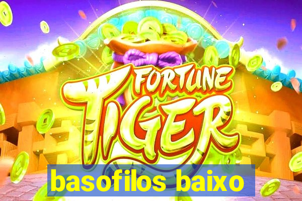 basofilos baixo