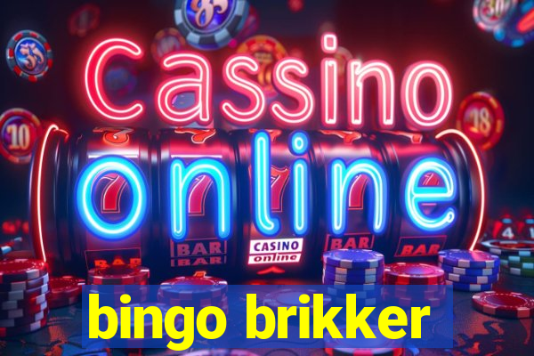 bingo brikker