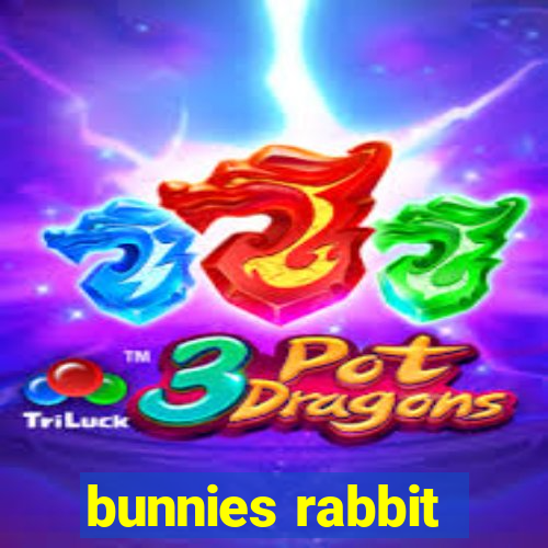 bunnies rabbit