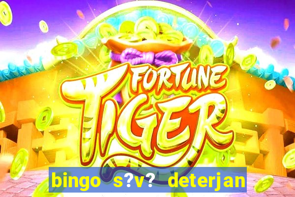 bingo s?v? deterjan 4 lt