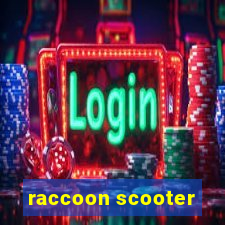 raccoon scooter