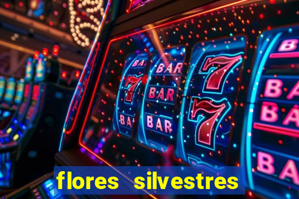 flores silvestres desbravadores desbravadores 25