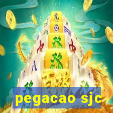 pegacao sjc