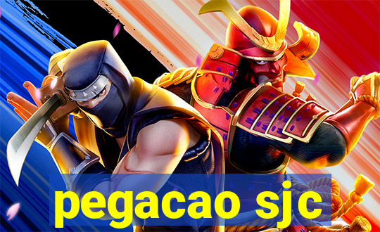 pegacao sjc