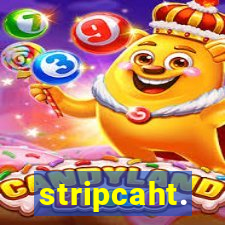 stripcaht.