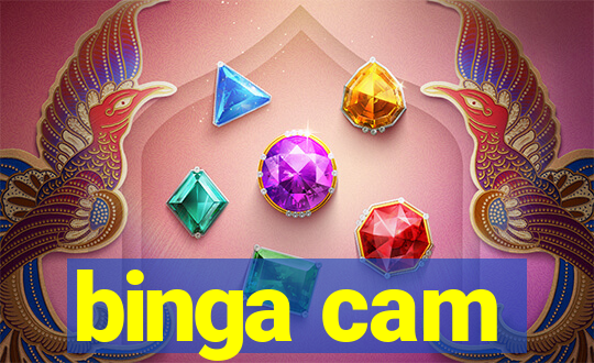 binga cam